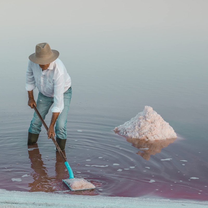 Le Saunier De Camargue Fleur De Sel Sea Salt (Plastic