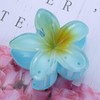 Xduargs Flower Claw Clips Large Flower Barrette Hawaiian Floral Strong