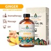 EVOKE OCCU Pine Needle Essential Oil 4 Oz, Pure Ginger