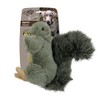 All For Paws Classic Squirrel Dog Plush Toy, Large, 3.95