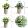 THE BLOOM TIMES Set of 3 Small Potted Artificial Plants