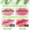 2PCS Aloe Vera Color Changing Moisturizing Lipstick for Women, Magic