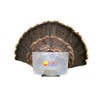 MOJO Outdoors Turkey Fan Press