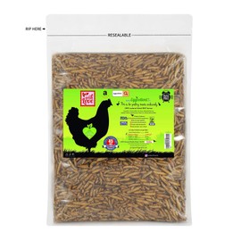 Eggcellent Update 2.2Lbs 95% More Calcium Than Mealworms, Non-GMO High Protein Natural Dried Black Soldier Fly Larvae for Wild Birds, Chickens, 35 Ounce