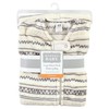 Hudson Baby Unisex Baby Plush Sleeping Bag, Sack, Blanket, Tribal,