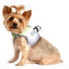 DOGGIE DESIGN American River Dog Harness Ombre Collection - Limestone