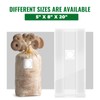 Vabiooth 100 Packs 6 Mil Mushroom Grow Bags, Thick Spawn