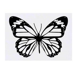 'Butterfly' Temporary Tattoo - Water Resistant, Skin-Safe, Non-Toxic Transfer (TO00017437)