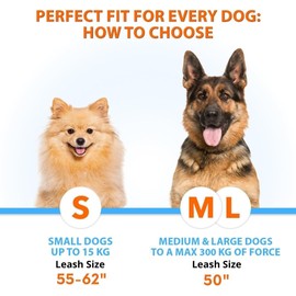 SparklyPets Hands Free Double Dog Leash – Dual Leash for Medium and Large Breeds – Lead for 2 Dogs with Padded Handles, Reflective Stitches, No Pull, Tangle Free