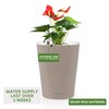 Dexceder 6x7 Self Watering Planter Indoor Outdoor, High Gloss Table