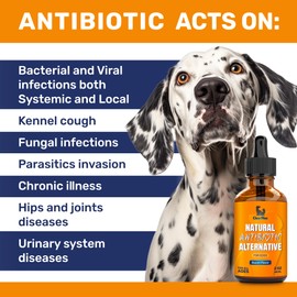 Dog Antibiotics for Infections, Allergies, Coughs – Natural Antibiotics for Dogs with Cranberry Provide Urination & Digestion Care – Natural Ingredients + Bacon Flavor – 2 Oz