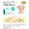 Sastty [For Gray Hair] Rishiri Color Shampoo 200ml (Black)