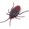 Zuru Robo Alive Crawling Cockroach Series 2 Robotic Glow In