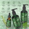 Rosemary Shampoo Conditioner Set, Rosemary Hair Growth Oil with Mint