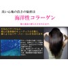 [onlee] onri-syanpu- II [, if Replacement] [nonsirikonsyanpu-]