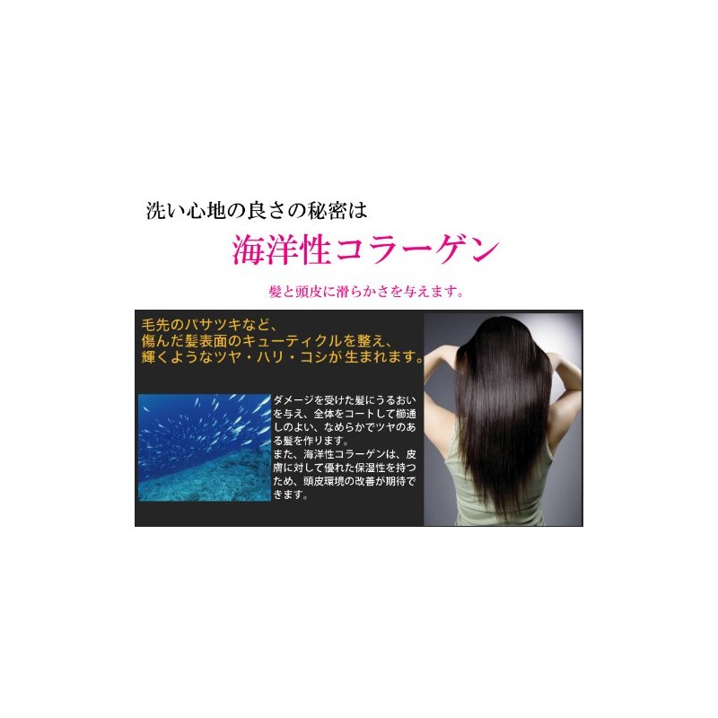 [onlee] onri-syanpu- II [, if Replacement] [nonsirikonsyanpu-]