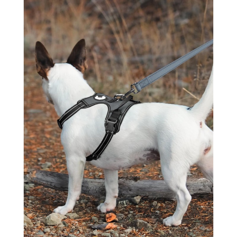 Joytale Double-Sided Reflective Dog Leash, 6 FT/5FT/4 FT, Padded Handle