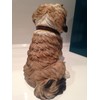 Sitting Shih Tzu Ornament Figure Figurine Model Gift Brown/White Leonardo