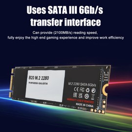 M.2 2280 SATA SSD 6Gb/s SATA III 3D TLC NAND Plug and Play Laptop SSD for PC Gaming Business 256GB