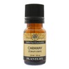 Plantlife Caraway Aromatherapy Essential Oil - Straight from The Plant