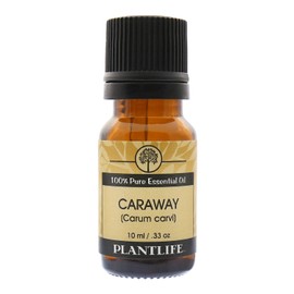 Plantlife Caraway Aromatherapy Essential Oil - Straight from The Plant 100% Pure Therapeutic Grade - No Additives or Fillers - 10 ml