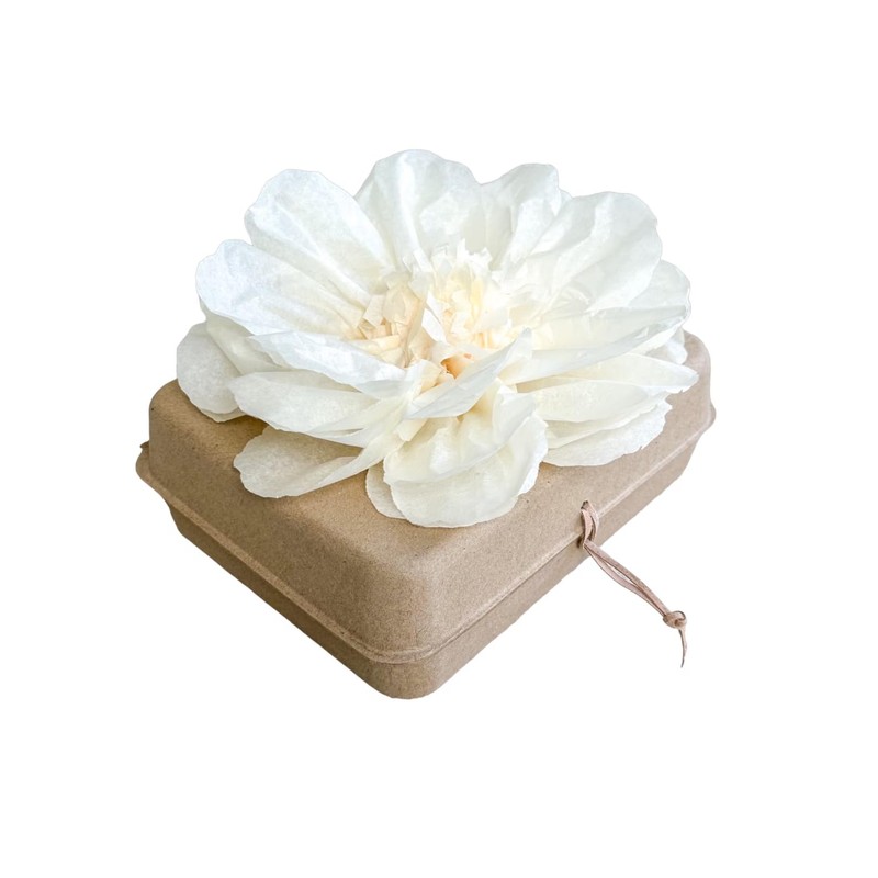 Generic Biodegradable urn for Water and Ground Burial (Medium -