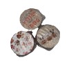 Sand & Paws Lot Of 3 Sand + Paws 12