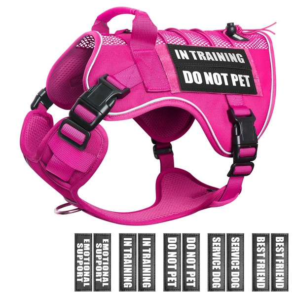 WINSEE Service Dog in Training Mesh Harness with 10 Pet