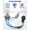 AUGREX Tail Light Lamp Rear Socket and Wire Harness w/Bulb