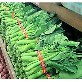 200 x Chinese Broccoli, Kailan GAI LAN Seeds - Most Popular Vegetable in Cantonese Cuisine - Approx. 60-65 Days - by MySeeds.Co