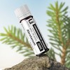 Abrotanum (Artemisia Abrotanum) 200C Homeopathic Remedy, 270 Pellets