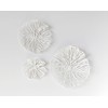 Creative Co-Op Handmade White Coral Shaped Paper & Metal Wall