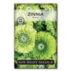 Sow Right Seeds - Rare Zinnia Flower Seeds for Planting