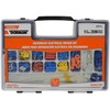 Dorman 85695C 208 Piece Terminal Repair Kit W/Case