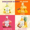 Sea Moss Lemonade Variety Pack – 4 Flavors Sampler: Lemon,