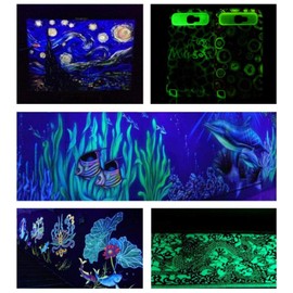 ZJchao 10 Colores Polvo de Pigmento Que Brilla en la Oscuridad, Polvo de Pigmento Luminoso Fosforescente Nocturno Autoluminiscente, Juego de Polvo Fluorescente de Color