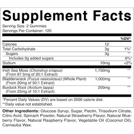 Vitamatic Irish Sea Moss Gummies – 3000mg – 240 Vegan Gummies with Bladderwrack & Burdock Root – Gluten-Free, Non-GMO Seamoss Supplement for Immune Support, Digestion, and Energy