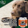 The Gift For Life Canine: Champion Your Dog's Health Journey!
