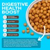 BIENA Chickpea Snacks - Crunchy Roasted Chickpeas - High Fiber