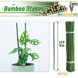 50Pcs 16in Bamboo Sticks for Indoor Outdoor Plants, 0.29"-0.38" Natural Bamboo Poles, Durable Garden Stakes for Tomatoes, Beans, Flowers and Potted Plants