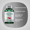 Piping Rock Schizandra Berry Fruit Capsules 1160mg | 100 Count