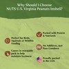 NUTS U.S. - Peanuts In Shell | USA Grown, Non-GMO