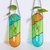Stained Glass Plant Propagation Hanging: Hewory 2 Pcs Propagation Station