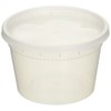 Reditainer Extreme Freeze Deli Food Containers with Lids, 16-Ounce, 36-Pack,