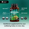 Moringa Leaf Capsules 2000mg – High-Strength Vegan Formula with Pure