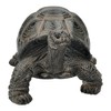 Figuren Shop GmbH HotAnt Landturtle Garden Figurine 17 cm Realistic