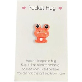 Galepromot Frog Pocket Hug Heart with Greeting Cards,Mini Cute Frog Pocket Hug Decoration,Adorable Encouragement Greeting Card (Orange Frog)