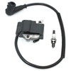 Ignition Coil Module With Spark Plug CMR6H For Stihl MS201