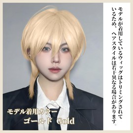 FESHFEN Men's Wig, Full Wig, Short, Black Hair, Wig, Short Hair, Men's Wolf Cut, Men's Clothing, Handsome, Everyday Use, Fluffy, Fashion, Handsome Wig, Harajuku, Natural, Unisex, Heat Resistant,