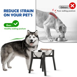 TIDANT Adjustable Raised Dog Bowl Stand for Large & Medium Dogs, 11" Tall, fits 7-10.6" Wide Bowls, 2-in-1 Design